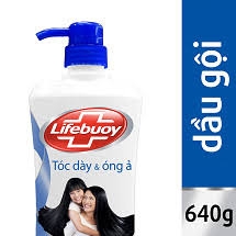 Dầu gội Lifebuoy