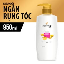 Gội xã chống rụng tóc PANTENE ProV Hair Fall Control