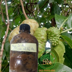 Nhàu massage hữu cơ Organic