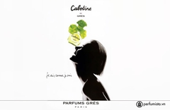 Nước hoa cabotine 100ML