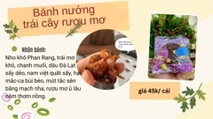 Bánh nướng trung thu  rượu mơ trái cây