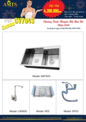 Chậu rửa bát AMTS 7643 đúc