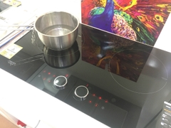 Bếp từ Munchen GM 292
