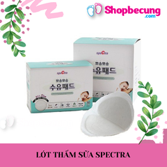 LÓT THẤM SỮA SPECTRA