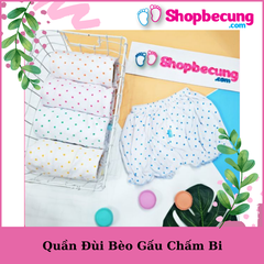 QUẦN ĐÙI BÈO GẤU CHẤM BI