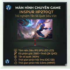 Màn hình Inspur IIP270QT