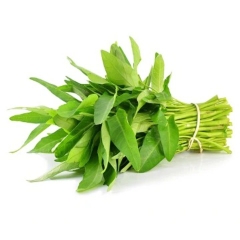 Rau Muống