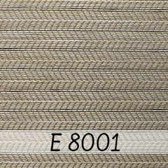 ECO 8.E