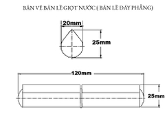 Bản lề giọt nước (bản lề đáy phẳng) D20x25x120