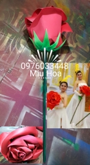 Hoa hồng múa