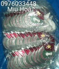 Huy hiệu Đoàn