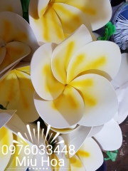 Hoa múa mẫu 01