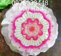 Hoa múa mẫu 02