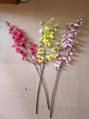 Cành hoa mai