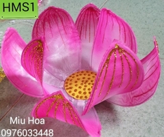 Hoa múa mẫu 11