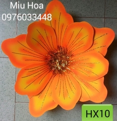 Hoa múa mẫu 13