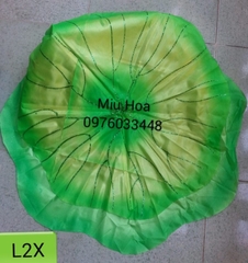 Hoa múa mẫu 14
