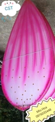 Cánh sen màu hồng