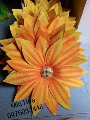 Hoa múa mẫu 19