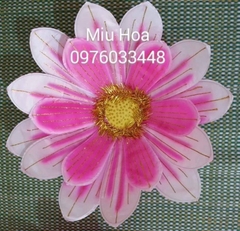 Hoa múa mẫu 23