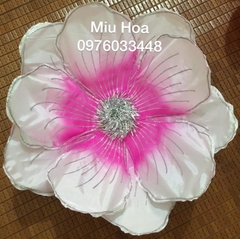 Hoa múa mẫu 24
