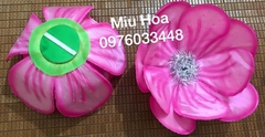 Hoa múa mẫu 25 màu hồng