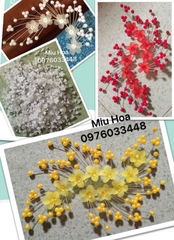 Cài đầu pha lê đơn sắc