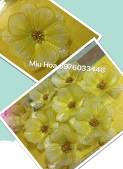 Hoa múa mẫu 29