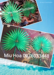 Lá mua 08