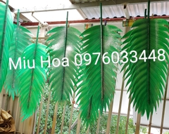 Lá múa 09