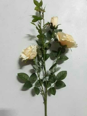 Cành hoa hồng trắng 2