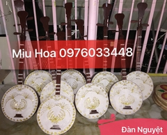 Đàn