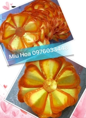 Hoa múa mẫu 37