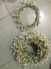 Vòng nguyệt quế 19