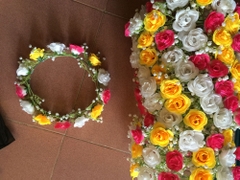 Vòng nguyệt quế 20