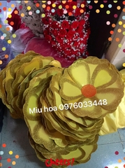 Hoa múa mẫu 45