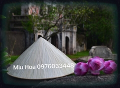 Nón trắng