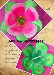 Hoa múa mẫu 46