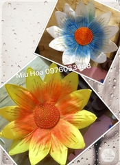Hoa múa mẫu 47