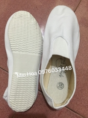 Giày múa Việt Nam