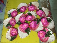 Quạt múa 137