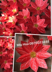 Hoa múa mẫu 54