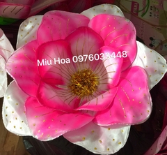 Hoa múa mẫu 55