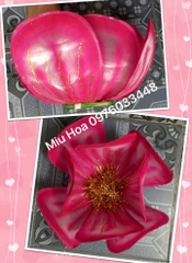 Hoa sen múa mẫu 57