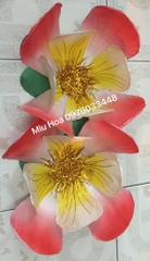 Hoa múa mẫu 58