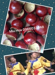 Gáo