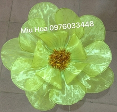 Hoa múa mẫu 71