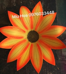 Hoa múa mẫu 74