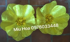 Hoa múa mẫu 79