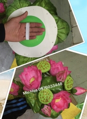 Hoa múa mẫu 85